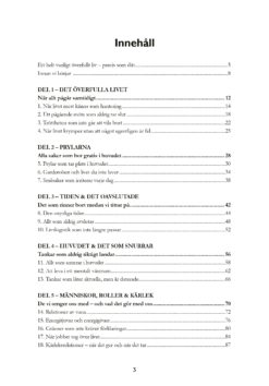 Alternative view of Livsstäda - Sluta vara snäll mot allt som stressar dig